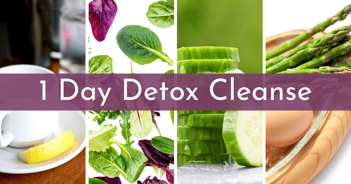 1 Day Detox Cleanse Meal Plan & Recipes | My 17 Day Diet Blog