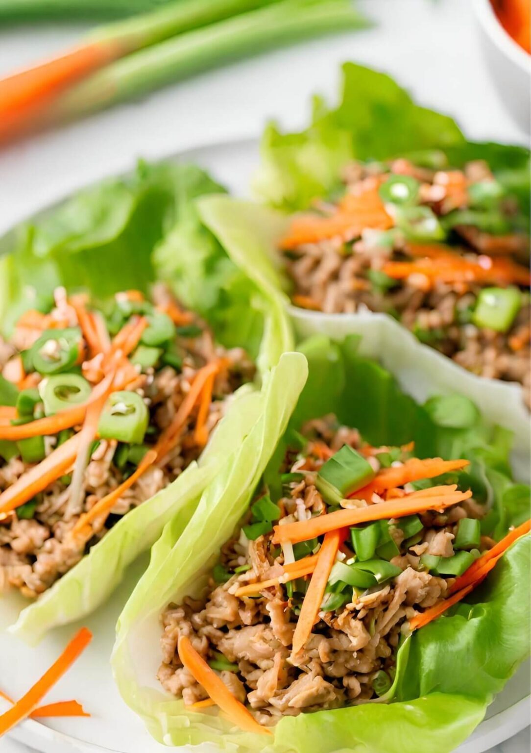 ground-turkey-asian-lettuce-wraps-my-17-day-diet-blog